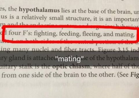 handwriting - es, the hypothalamus lies at the base of the brain, ur Lus is a relatively small structure, it is an important I four F's fighting, feeding, fleeing, and mating. Llc. ing many nuclei and fiber tracts. Figure 3.15 ind ary gland is attached'ma