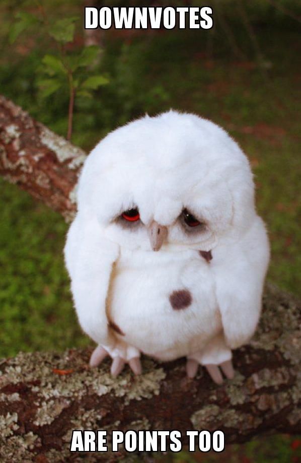 sad owl - Downvotes Are Points Too