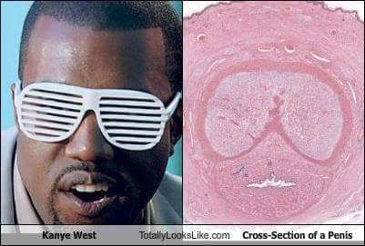 kanye sunglasses - Kanye West TotallyLooks.com CrossSection of a Penis