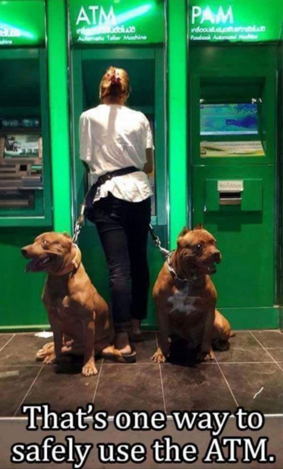 random pic atm dogs - Atn Pam A mak Teller Machine That's one way to safely use the Atm.