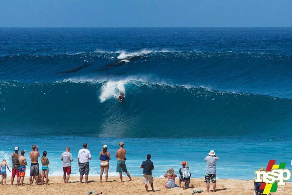 whale in a wave