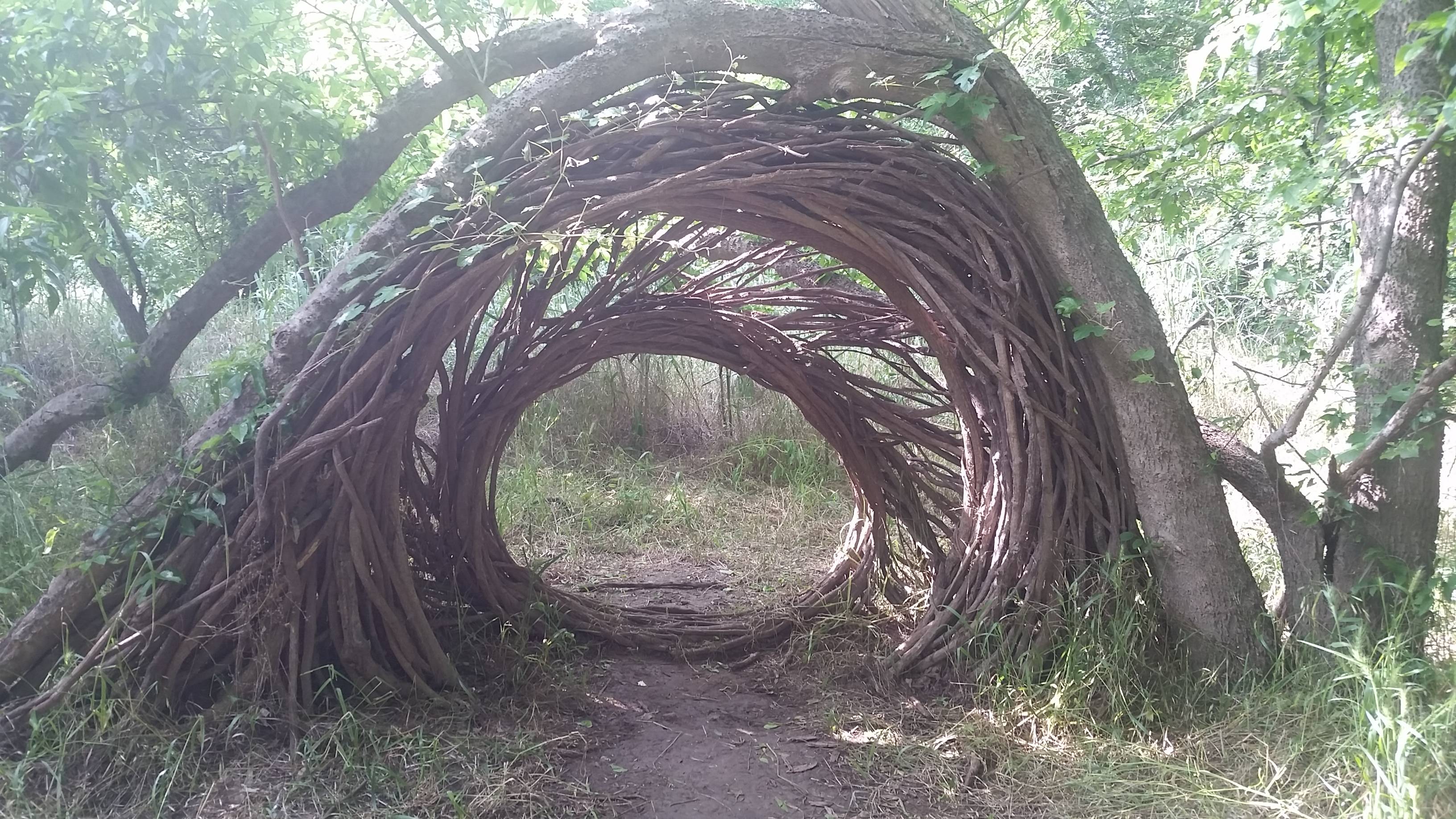 Strange in the woods. Странные вещи найденные в лесу. Лес со странными деревьями. Лес из необычных предметов.