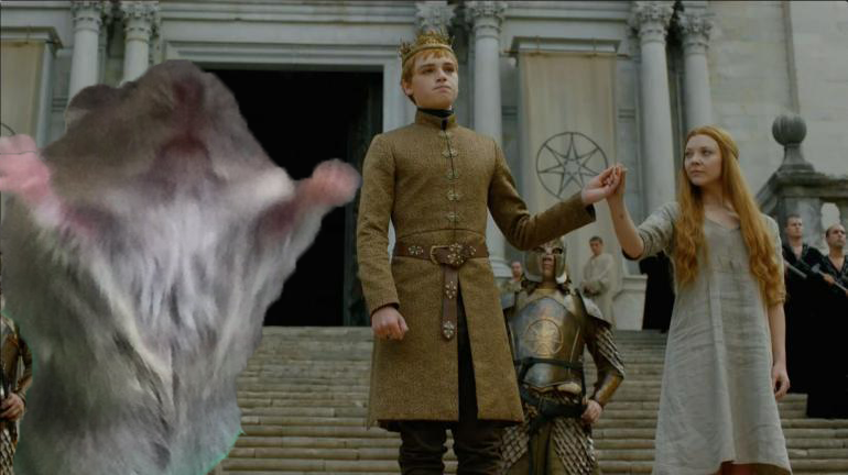 Photoshop Contest - Hamster preaching to the masses.