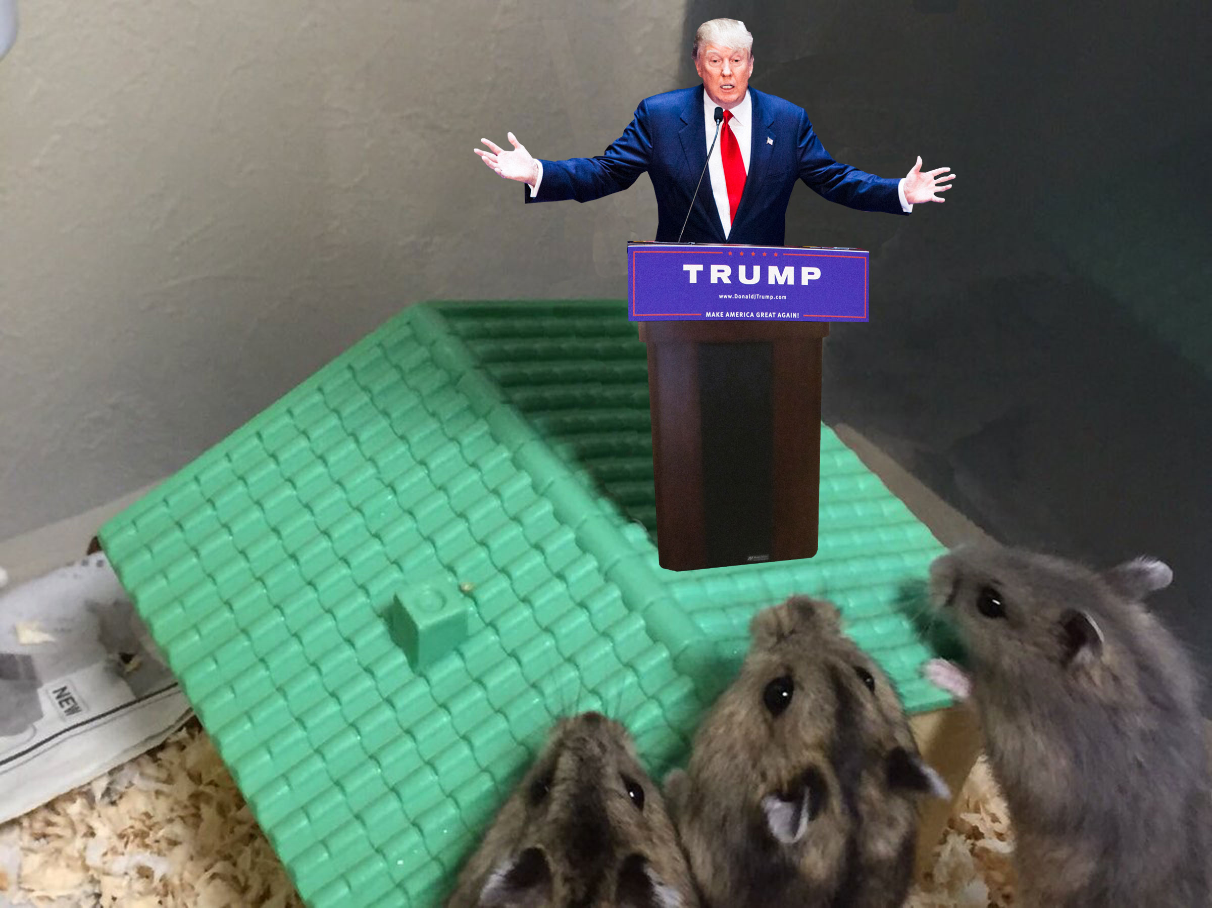 Photoshop Contest - Hamster preaching to the masses.