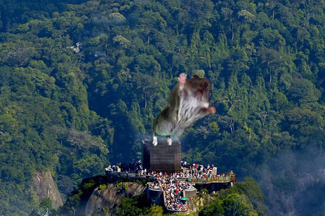 Photoshop Contest - Hamster preaching to the masses.