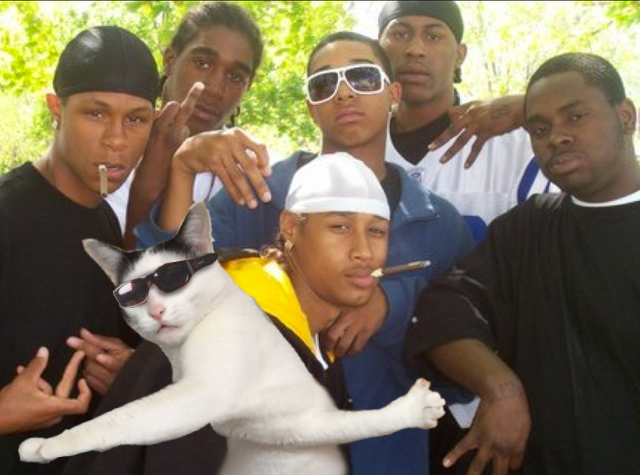 black gang members