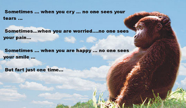 but fart one time - Sometimes ... when you cry... no one sees your tears... Sometimes...when you are worried....no one sees your pain... Sometimes ... when you are happy ... no one sees your smile ... But fart just one time...