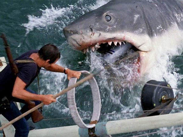 The Jaws series (1975-1987)