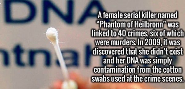 cat - Dna htning A female serial killer named "Phantom of Heilbronn" was linked to 40 crimes, six of which were murders. In 2009, it was discovered that she didn't exist and her Dna was simply contamination from the cotton swabs used at the crime scenes.