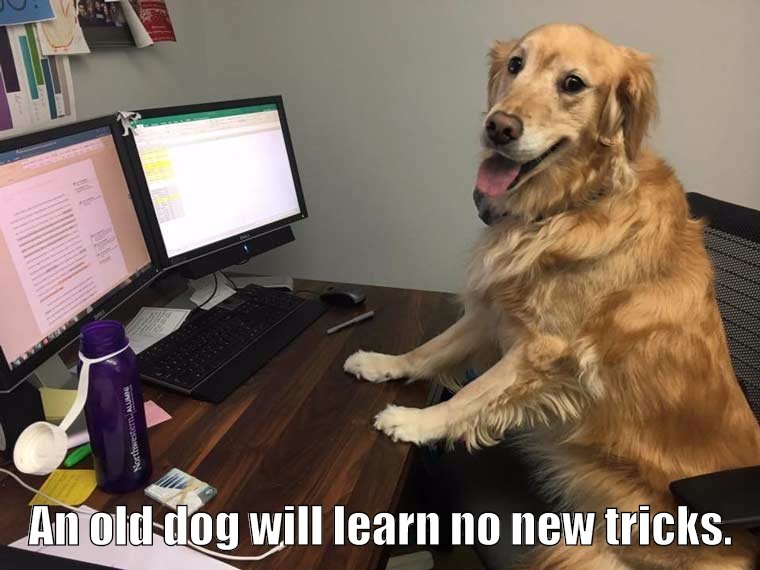 An old dog will learn no new tricks.