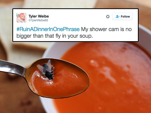 tweet - Tyler Weibe Weibe82 My shower cam is no bigger than that fly in your soup.