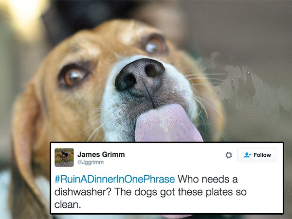 tweet - licking dog - James Grimm Jggrimm Who needs a dishwasher? The dogs got these plates so clean.