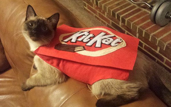 kit kat costume for cats - Red