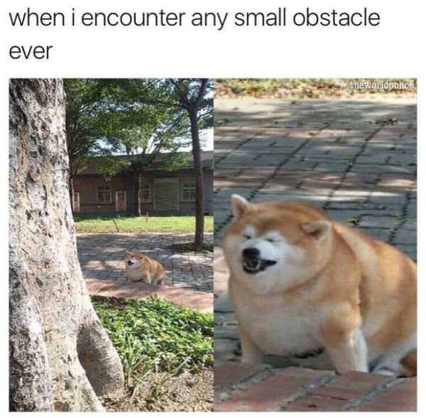 encounter any small obstacle ever - when i encounter any small obstacle ever the worldpolice