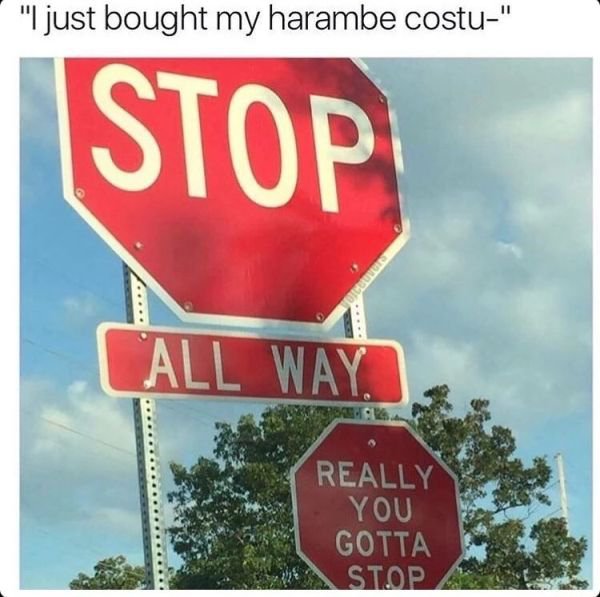 stop all the way you really gotta stop - "I just bought my harambe costu" Stop All Way Really You Gotta Stop
