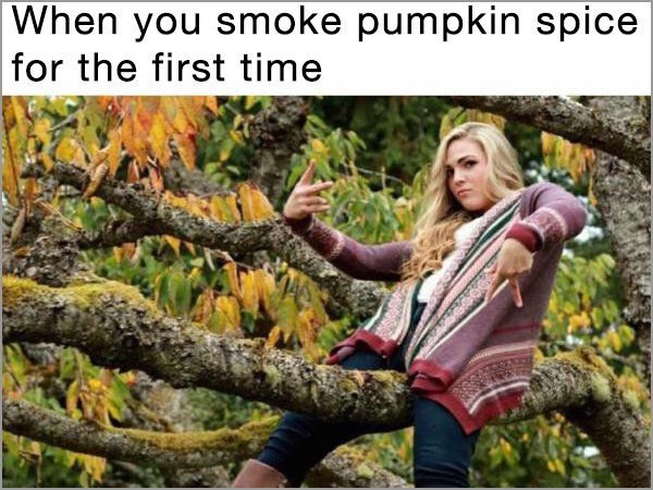 pumpkin spice meme - When you smoke pumpkin spice for the first time.