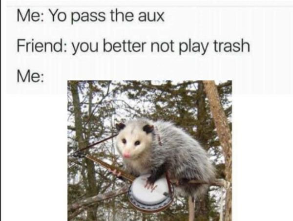 Me Yo pass the aux Friend you better not play trash Me