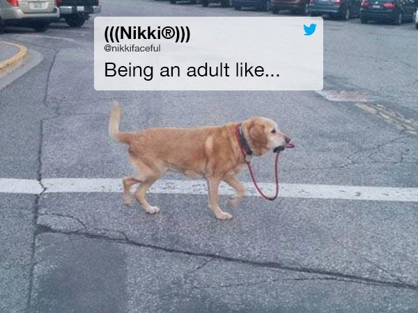 Tweets about adulthood that’ll make you wish you were young again (30 Photos)