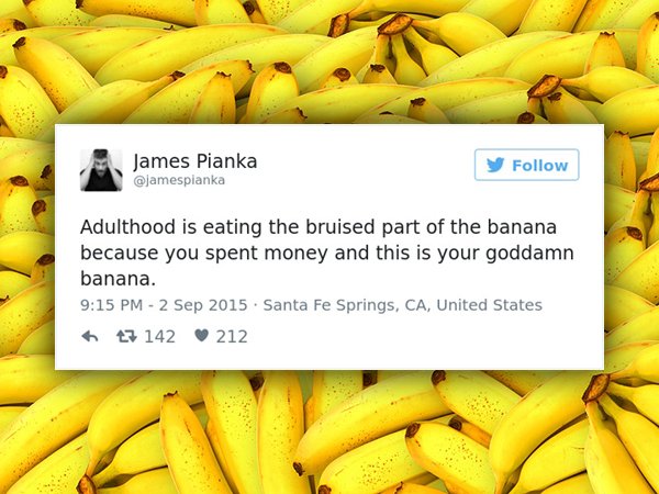 Tweets about adulthood that’ll make you wish you were young again (30 Photos)