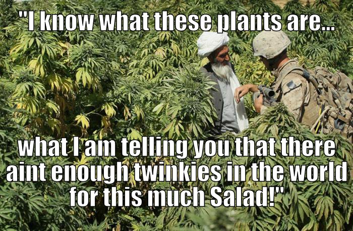Salads Twinkies Taliban Marines