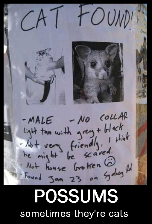 lost possum demotivational poster
