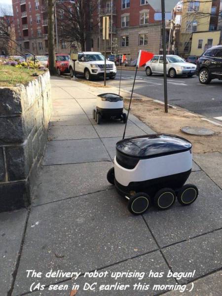 random pic asphalt - The delivery robot uprising has begun! As seen in Dc earlier this morning.