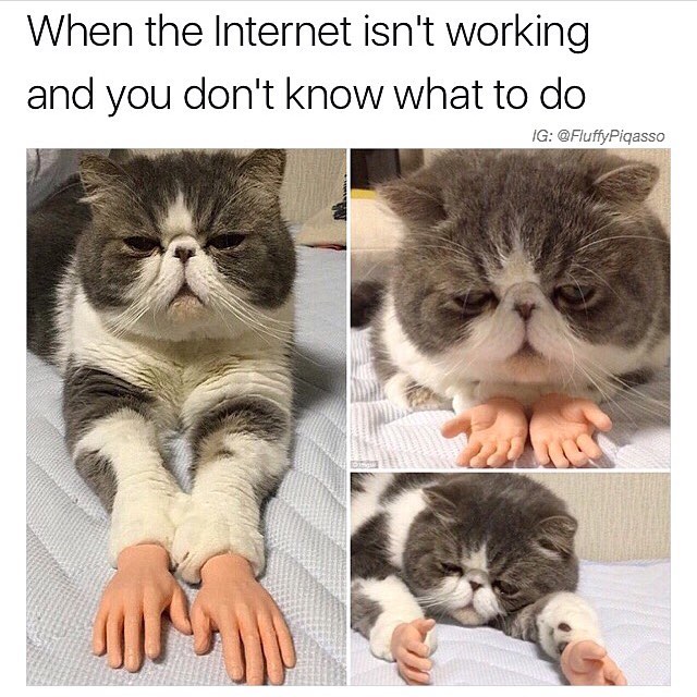 disgusting meme - When the Internet isn't working and you don't know what to do Ig