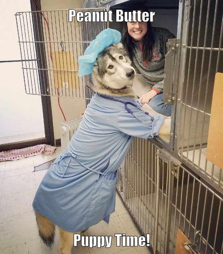 Peanut Butter Puppy Time!