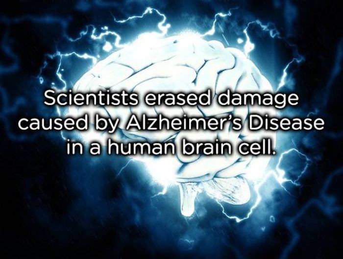18 Amazing Scientific Achievements For Your Brain To Feast On