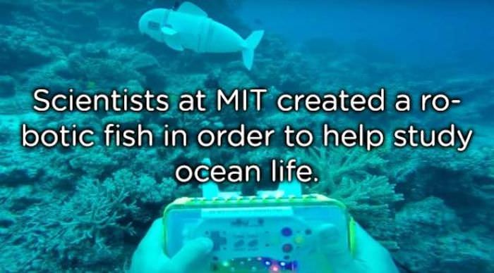 18 Amazing Scientific Achievements For Your Brain To Feast On
