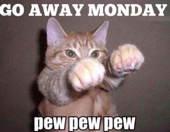 go away monday pew pew pew - Go Away Monday pew pew pew