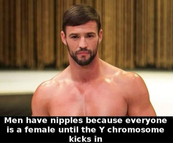 ethan edward minogue smith 2018 - Men have nipples because everyone is a female until the Y chromosome kicks in