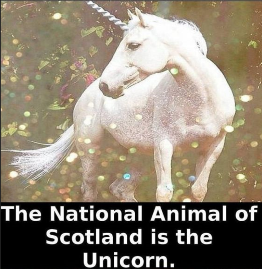 glitter real unicorn - The National Animal of Scotland is the Unicorn.