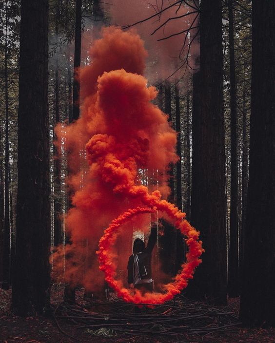 cool pic of smoke bomb in the forest