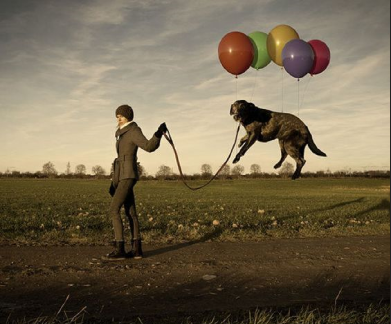 surreal picture of walking dog that is floating with balloons