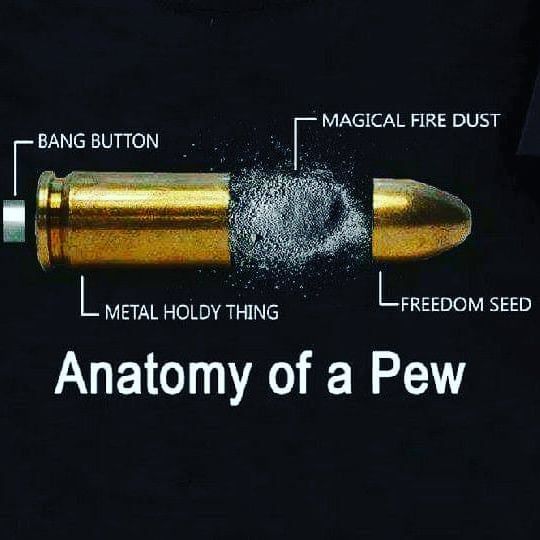 anatomy of a pew meme - Magical Fire Dust Bang Button L Metal Holdy Thing Freedom Seed Anatomy of a Pew