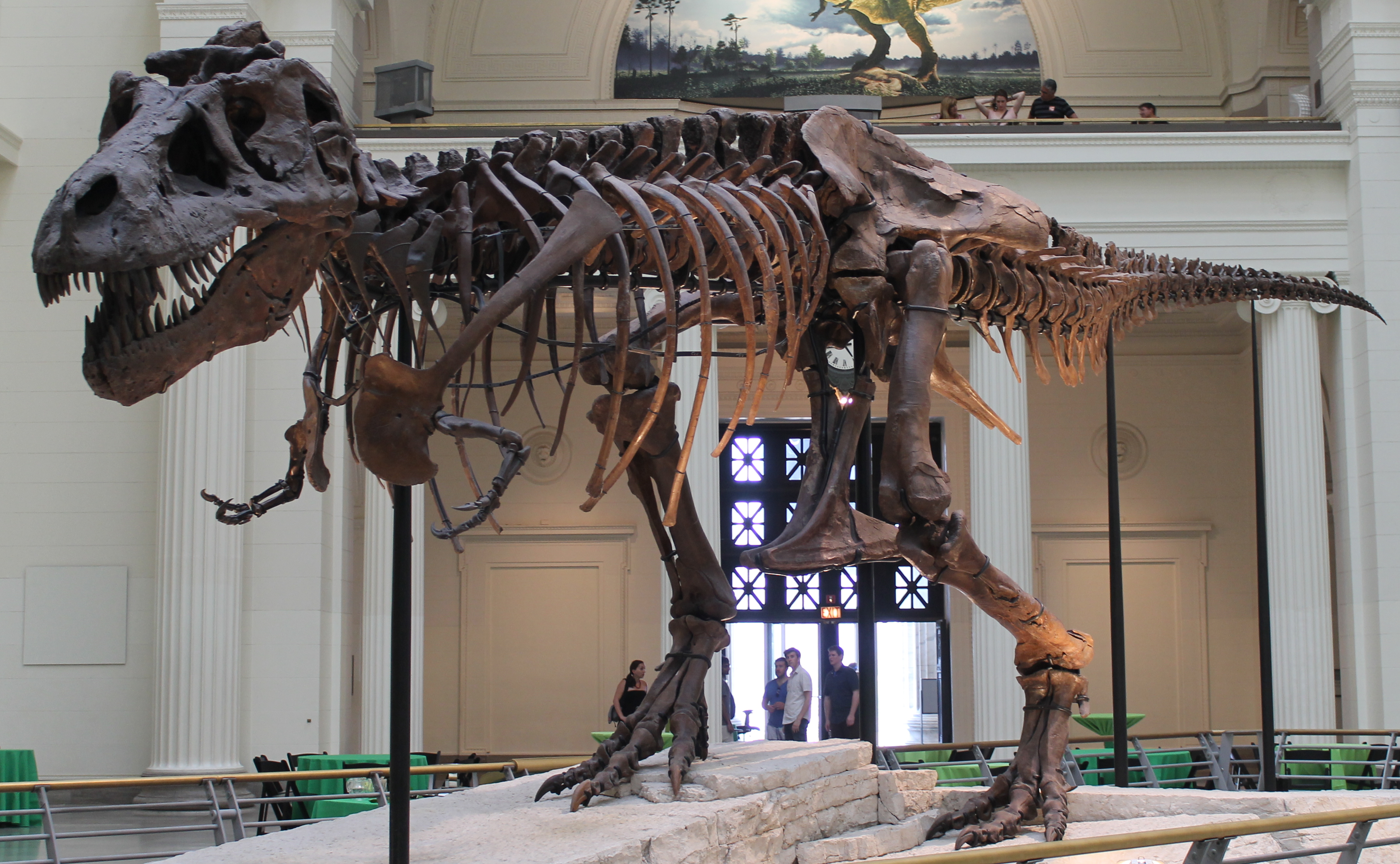 field museum of natural history - Ve