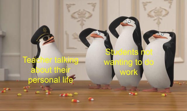 penguins of madagascar memes - Tea talking about their personal life Stents wanting to work