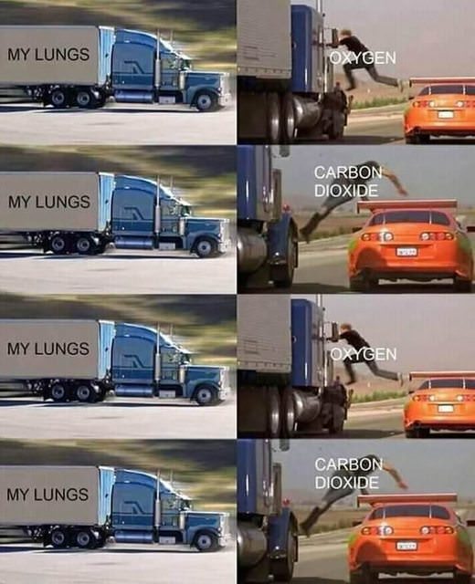 fast and furious truck meme template - My Lungs Oxygen Carbon Dioxide My Lungs My Lungs Oxygen Carbon Dioxide My Lungs