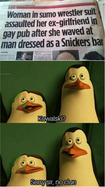 kowalski meme - Woman in sumo wrestler suit assaulted her exgirlfriend in gay pub after she waved at man dressed as a Snickers bar Kowalski? Sorry sir, no clue