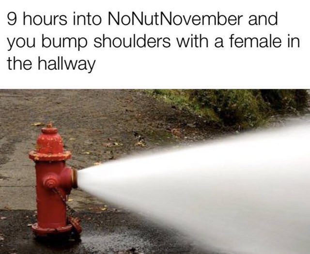 no nut november memes - 9 hours into NoNut November and you bump shoulders with a female in the hallway