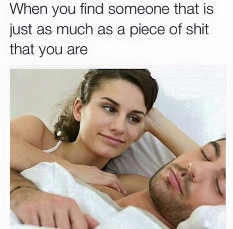 find someone meme - When you find someone that is just as much as a piece of shit that you are
