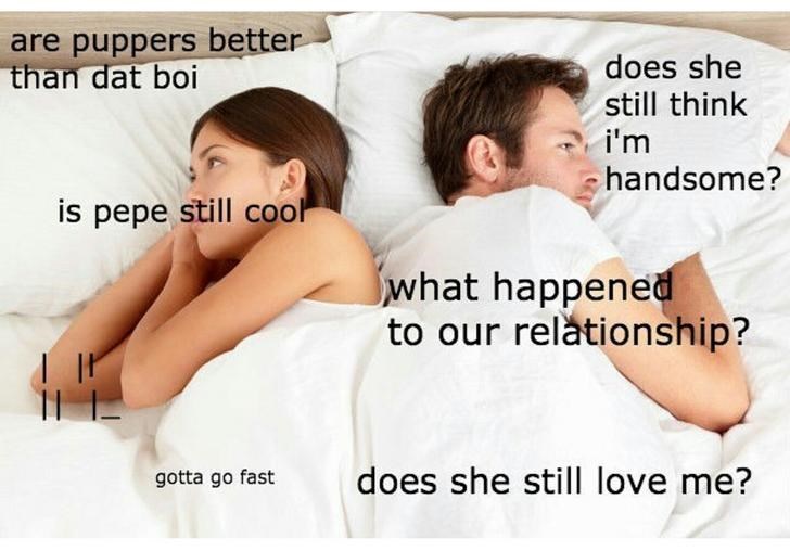 relationship trouble memes - are puppers better than dat boi does she still think i'm handsome? is pepe still cool what happened to our relationship? gotta go fast does she still love me?