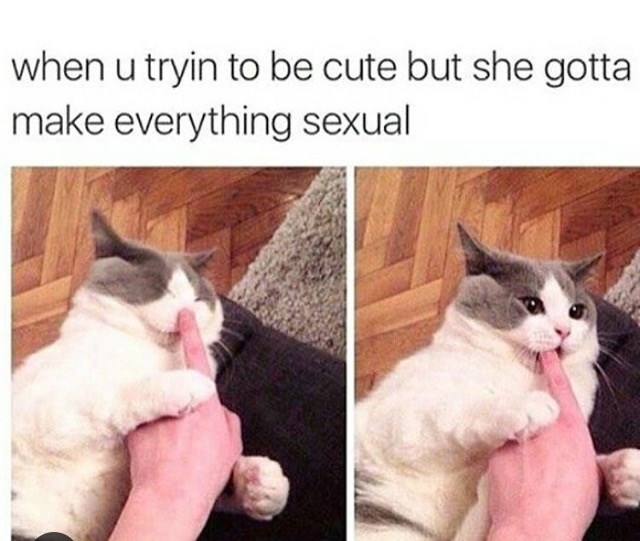 relationship sex meme - when u tryin to be cute but she gotta make everything sexual