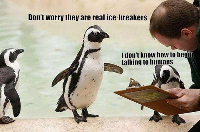 Humans and Penguins