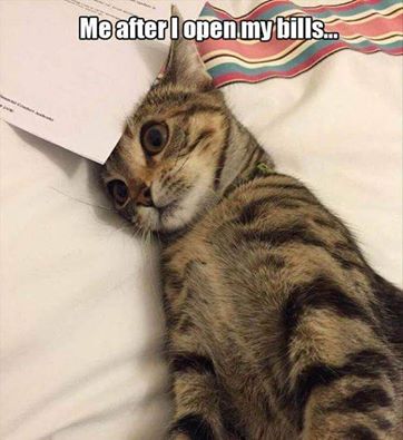 caturday cat meme of bills and me - Me after I open my bills.
