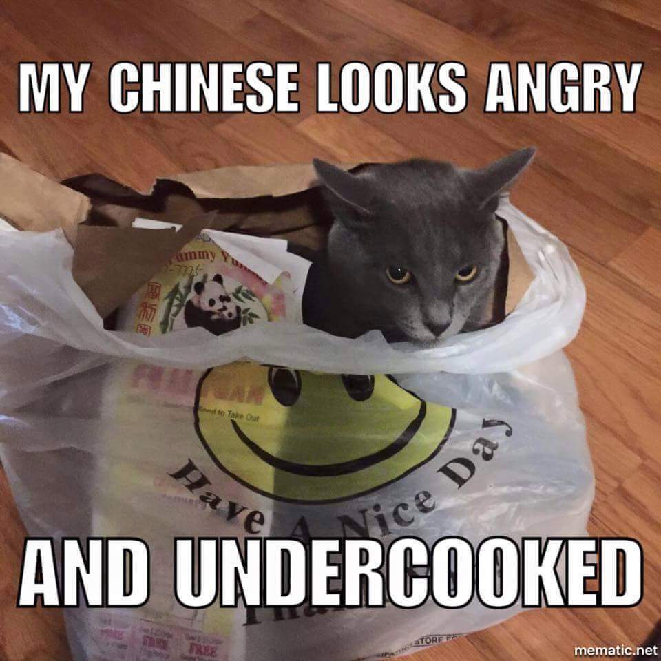 caturday cat meme of my chinese looks angry and undercooked - My Chinese Looks Angry ummy 726 wd to Take Out Nice Ice Dad And Undercooked mematic.net