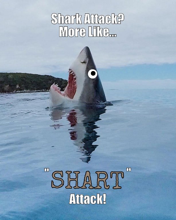 Shark attack? More like... "SHART," attack!