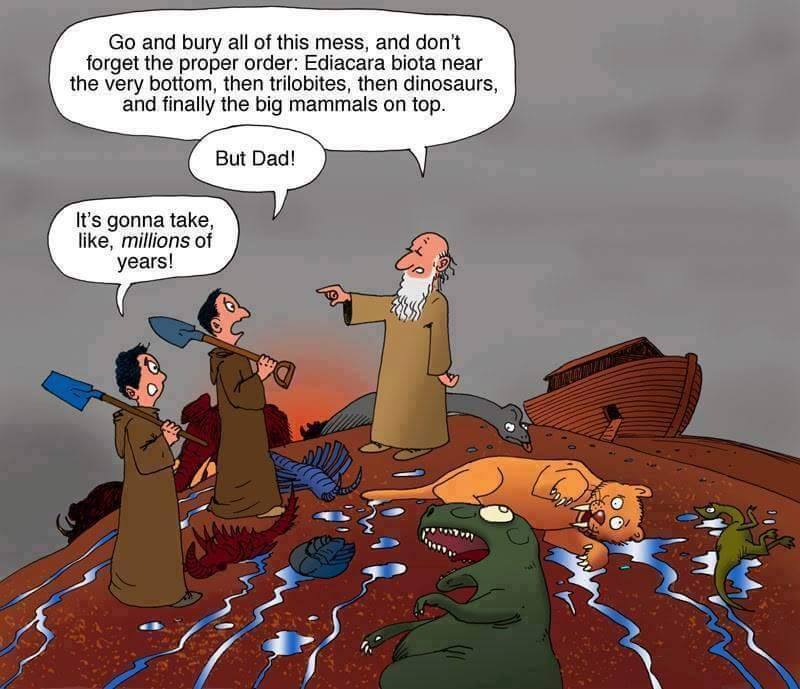 Ken Ham bashing at it's finest