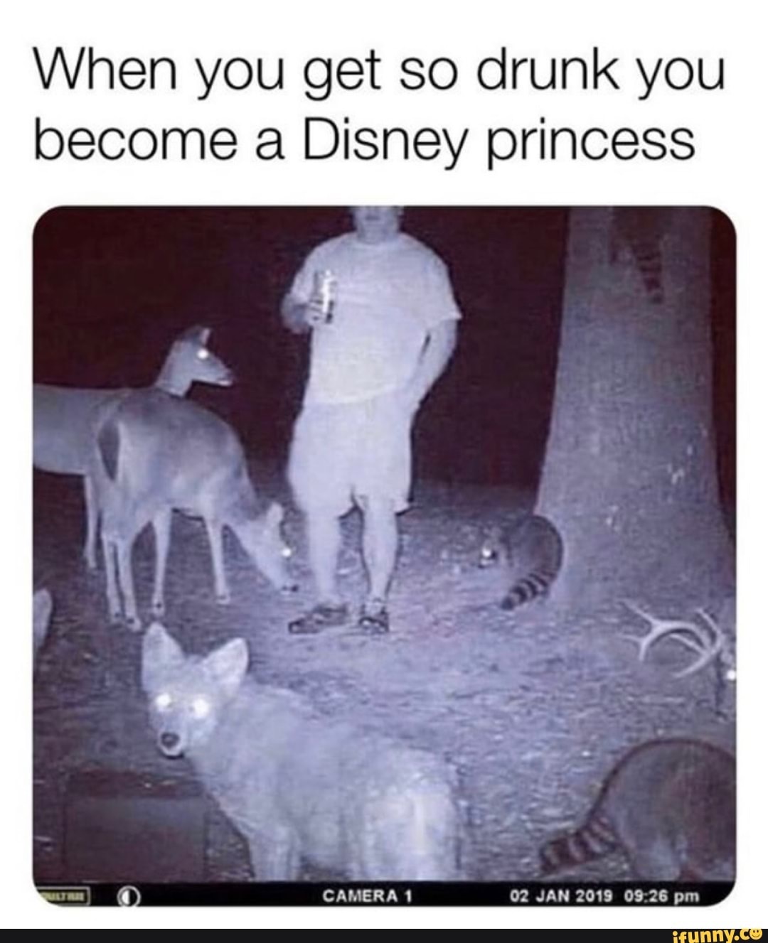 funny drunk memes 2019 - When you get so drunk you become a Disney princess Camera 1 ifunny.co